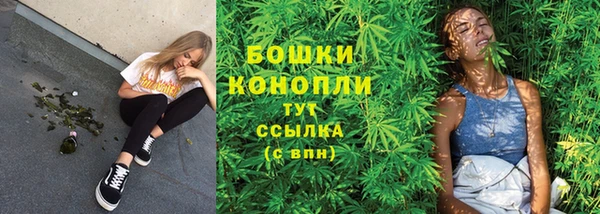 ALPHA PVP Богородицк