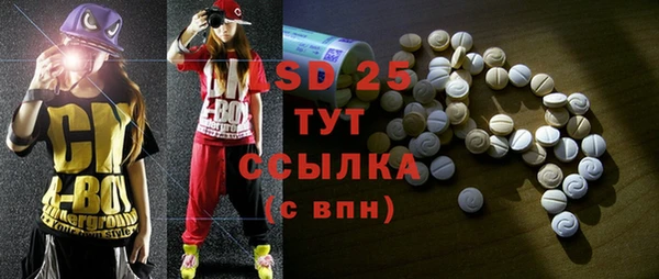 PSILOCYBIN Богородск