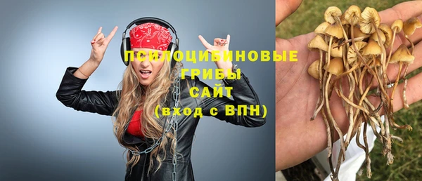 ALPHA PVP Богородицк