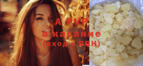 PSILOCYBIN Богородск