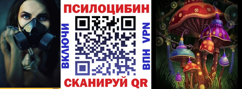цена   Красково  Галлюциногенные грибы GOLDEN TEACHER 